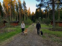 Camping Kiviniemi