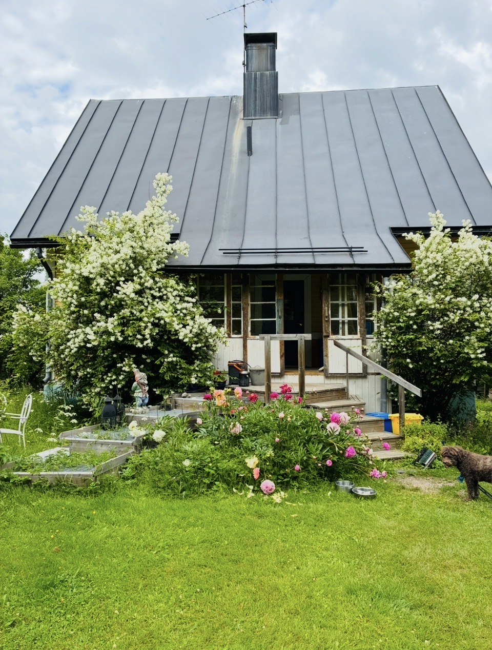 Teijon Metsänvartija B&B